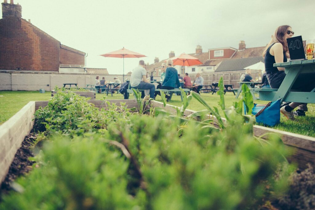 the-york-pub-norwich-golden-triangle-nr2-victorian-pub-with-large-pub-garden-serving-food-wednesday-to-sunday Herbs in the herb garden in The York Norwich pub garden